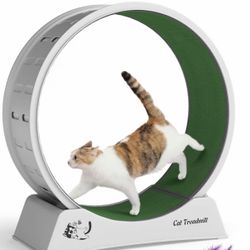 Gray Cat Exercise Wheel, 31.5 Inch Fitness Running Treadmill for Indoor Cats with Green Grass Carpet Runway