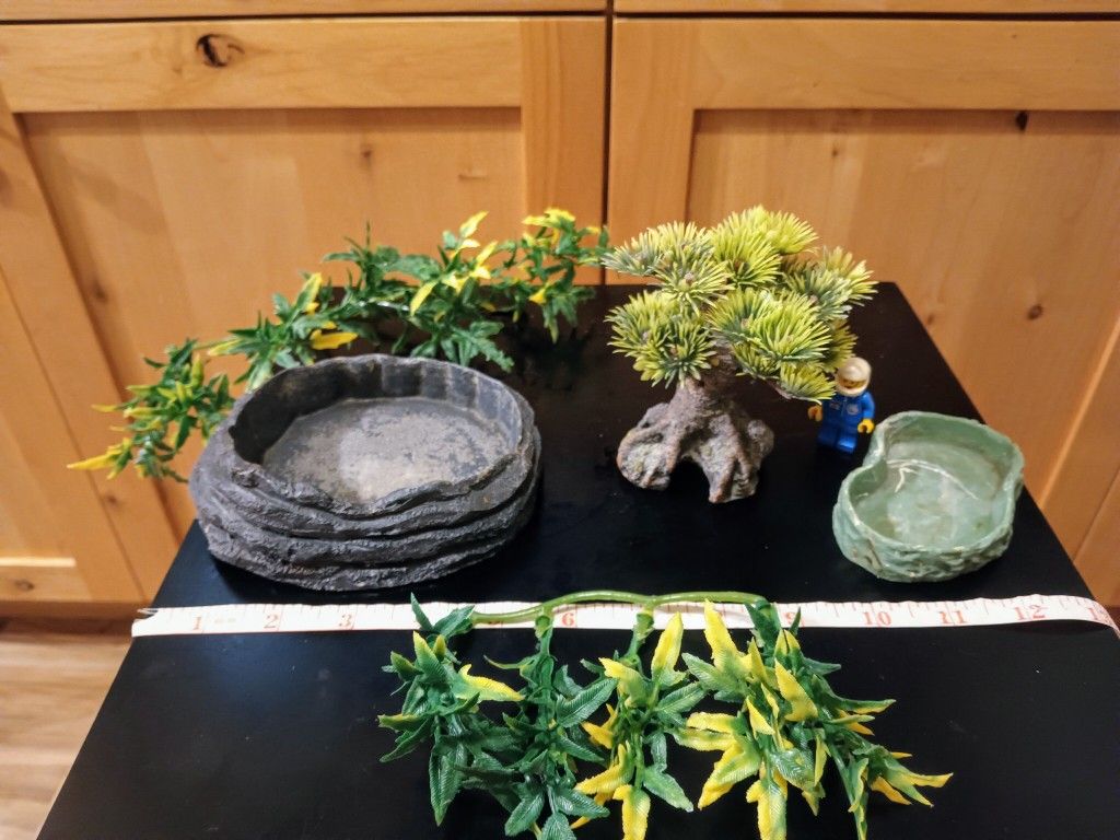 Reptile Terrarium Items π¦