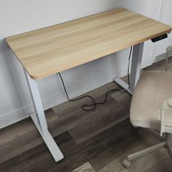desk and chair, pretty nice condition. 