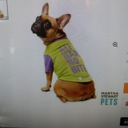 Martha Stewart Pet Collection Halloween Shirt Costume "All Bark No Bite" - S - Brand New 