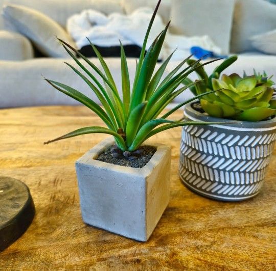 FloraCraft Artificial Green Succulent in Cement Pot 2.3-inch x 2.3-inch x 6.2 inch