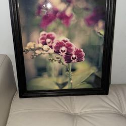 Frame 18x22 Cuadro