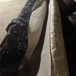 Hospital bed twin electric