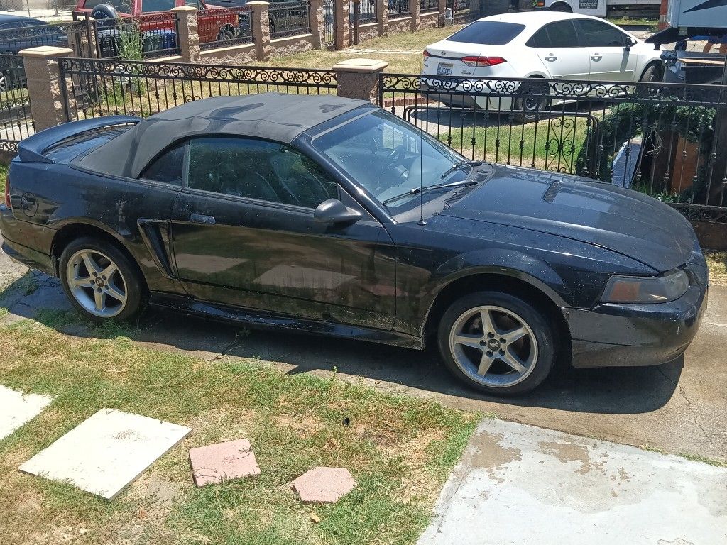2000 Ford Mustang