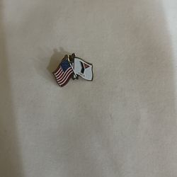 Us/ymca Pin