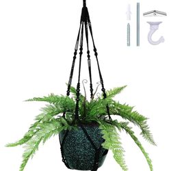 Macabre Plant Hangers 3 Per Pack
