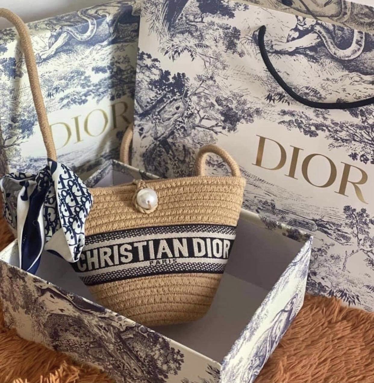 Dior Mini Bag