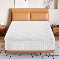 12 Inch,  Queen  Mattress 