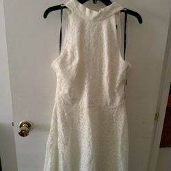 Tahari Arthur Levine Lace dress  Size 10