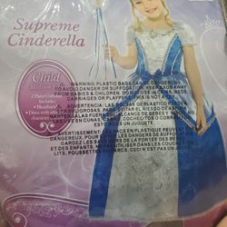 SUPREME CINDERELLA COSTUME SIZE MEDIUM 