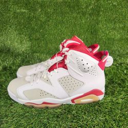 Jordan 6 Retro Alternate Hare (Brand New Size 10)