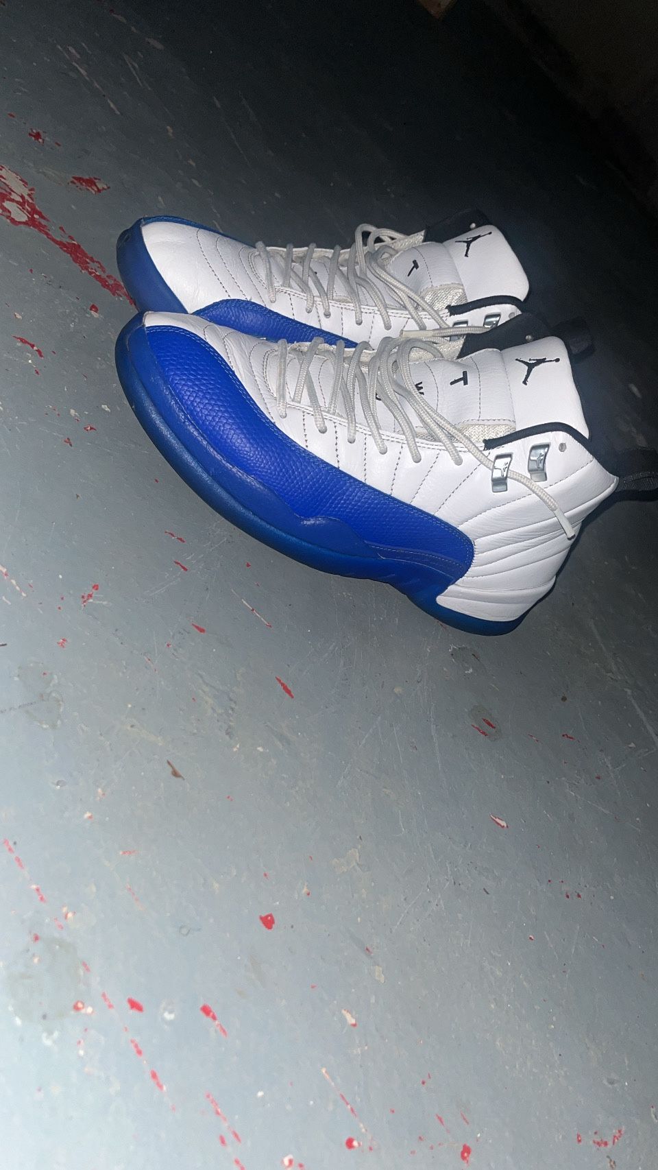 blueberry 12s
