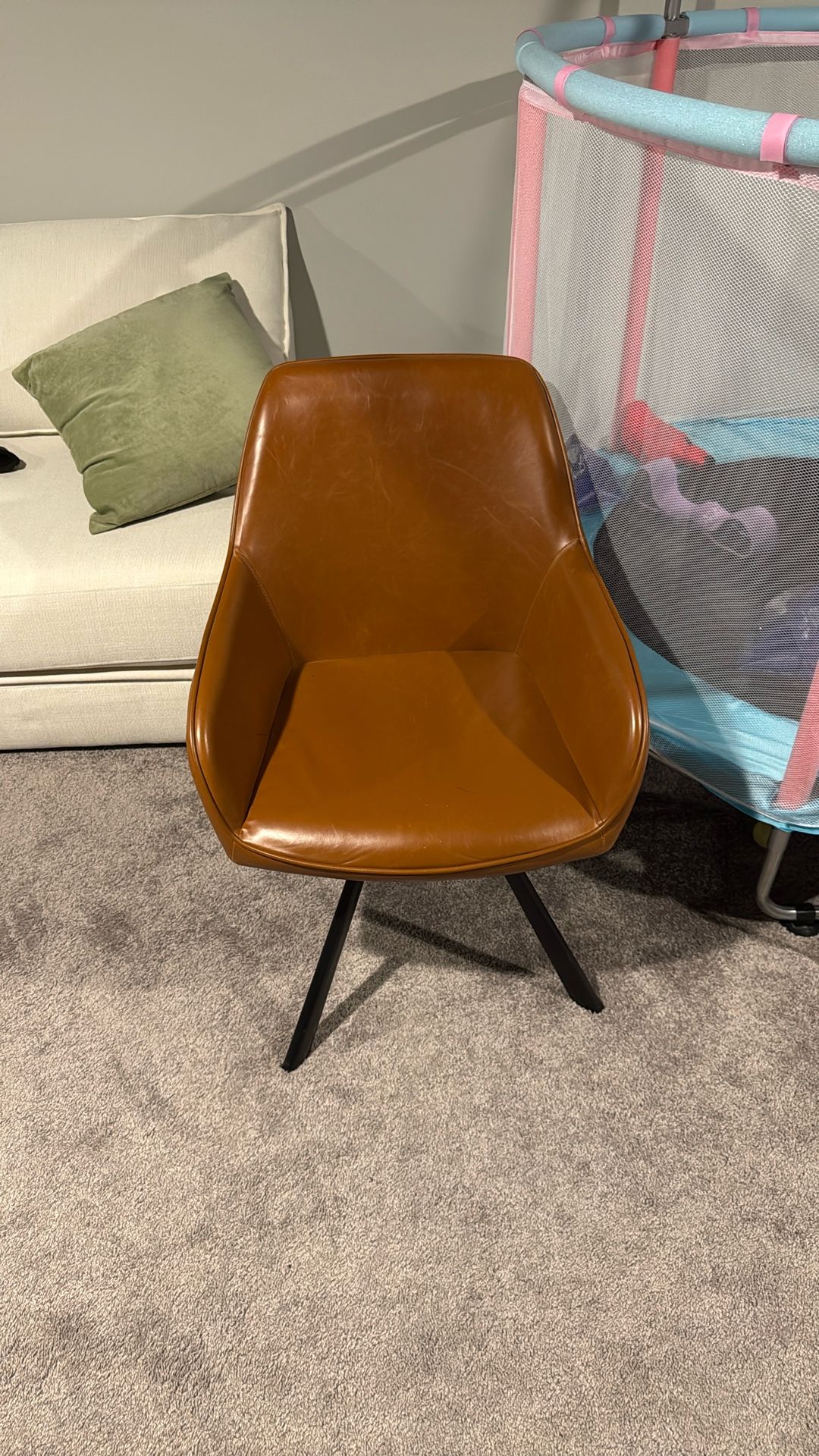 Living Room/Desk Chair