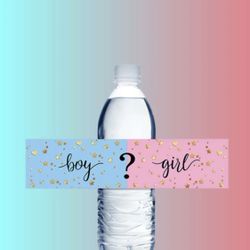 Gender Reveal Stickers 