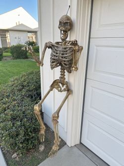 Posable hanging skeleton Halloween decoration, aged bone look