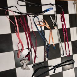 Dog Leashes 