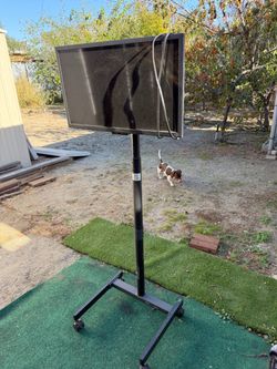 Tv and stand