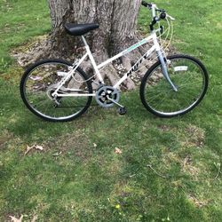 26” Mountain Bike 