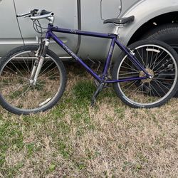 Trek Bike