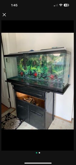 55 Gallon Tank With 2 Filters 