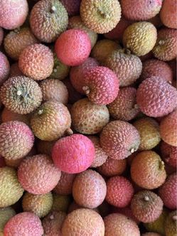 Fresh Lychee 🍒 Exotic Tropical Fruit – $8/LB