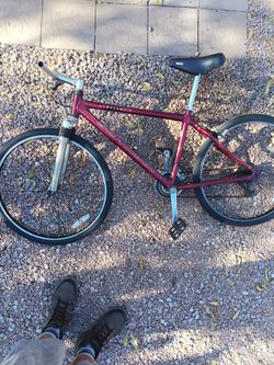 15"SCHWINN XC