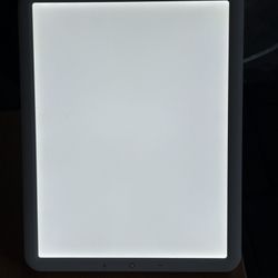 Day Light 
