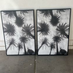 Palm Tree Picture 