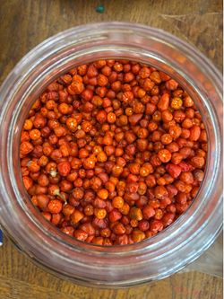 Chiltepín