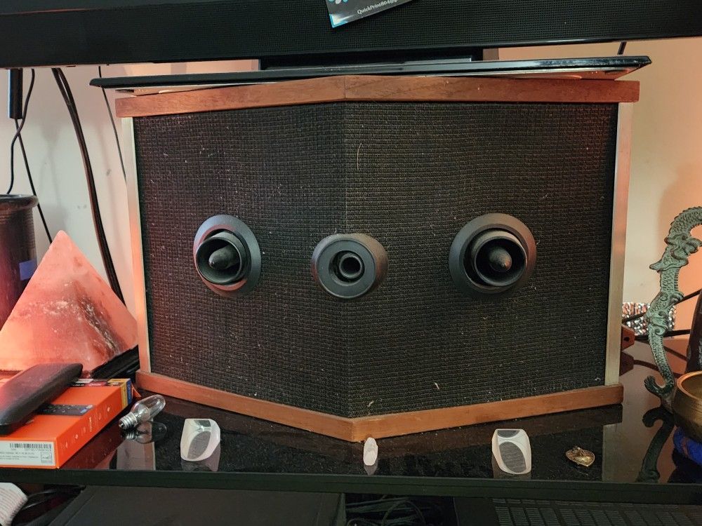 Bose 901 Series V Direct Reflecting Speakers