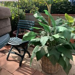 Beautiful Indoor Outdoor Artificial Houseplant