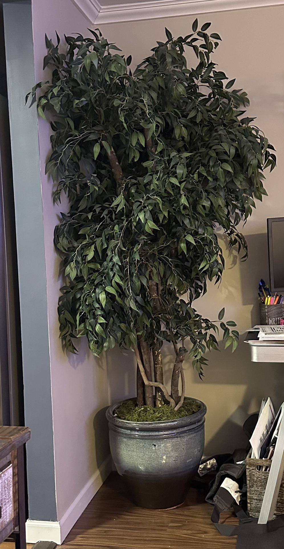 Fake Plant/Tree