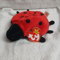 Beanie BABY P.v.c. (LUCKY)LADYBUG
