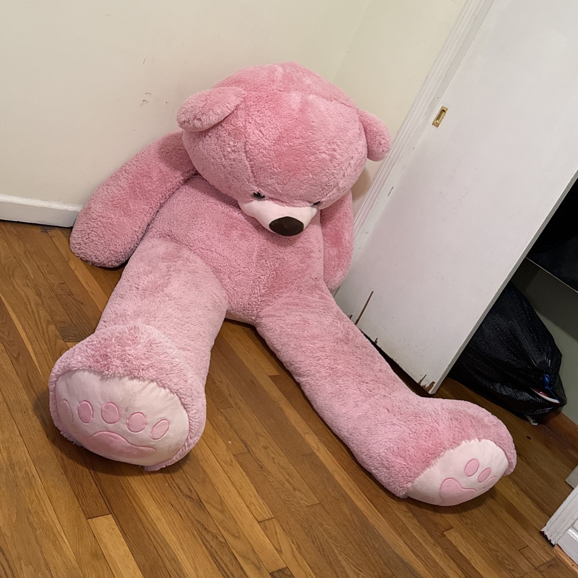 Teddy Bear