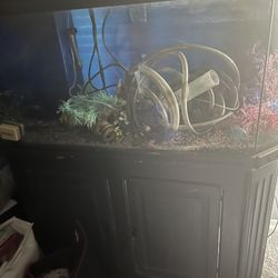 55 Fish Tank With All Equipment 