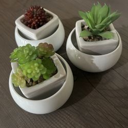 Faux Plant Decor 