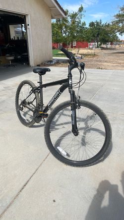 Nishiki mountain bike