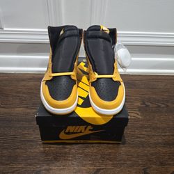 Size 11 Pollen Jordan 1s