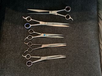 Dog Grooming Shears