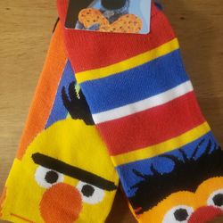 Sesame Street Bert & Ernie Socks 