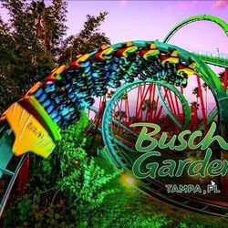 Bushgarden 