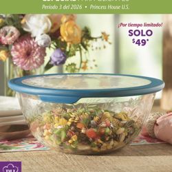 topper grande con tapa Princess house