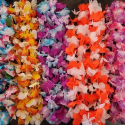 Leis/Hawaiian/lilo and stitch $6