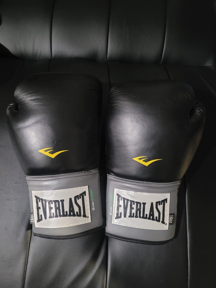 punching bag 🎒 👊 gloves