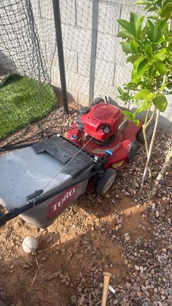 Toro Gas Push Lawn Mower with Bag