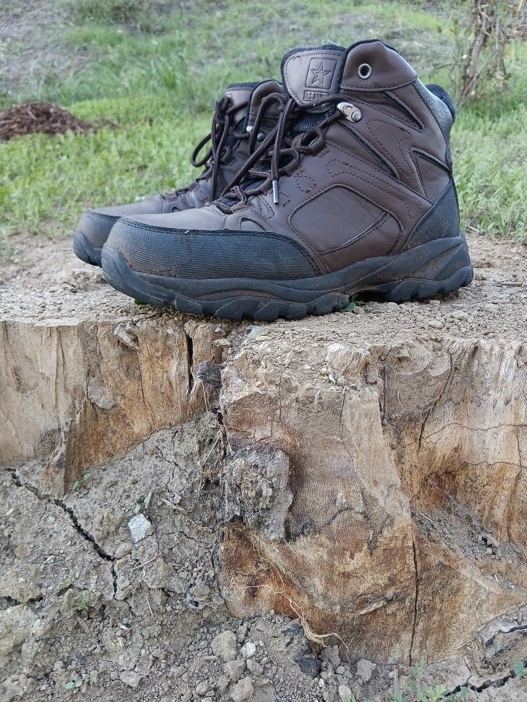 Hiking Boots (8.5)