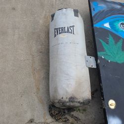 Everlast Heavy Bag