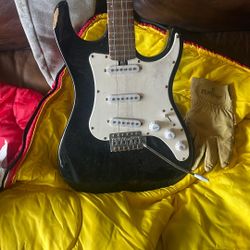 Lyon By, Washburn Guitar 