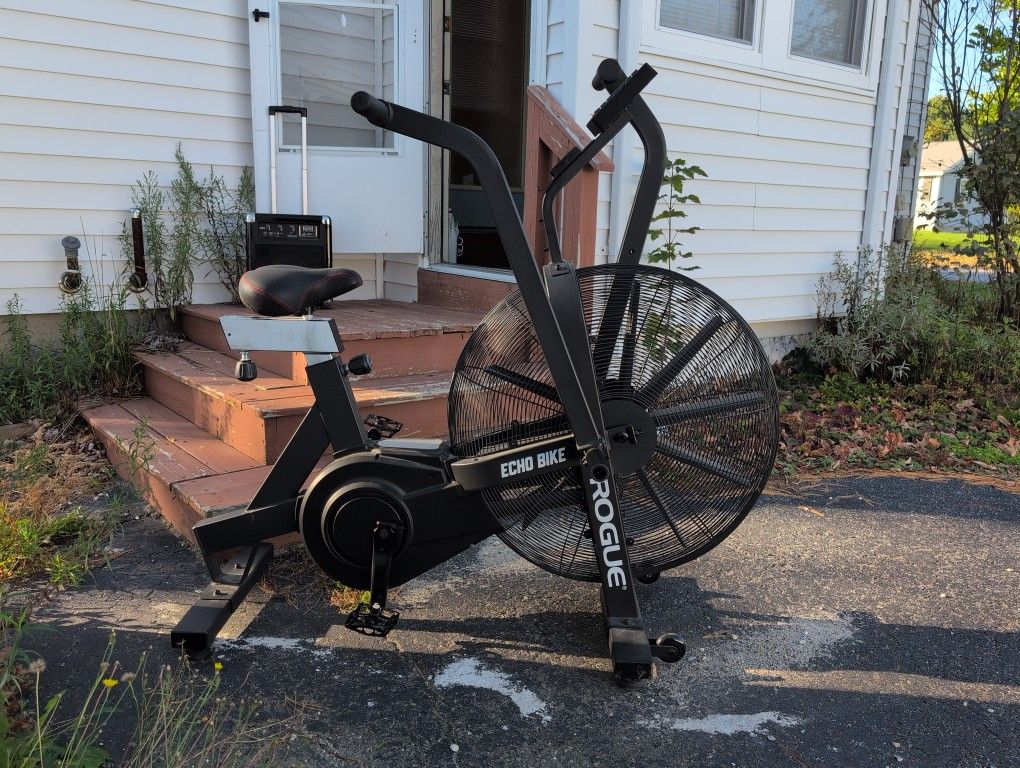 Rogue Echo exercise bike