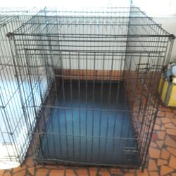 Large Metal Kennel And Many Pet Supplies I Am Donating For Free   My Boy Passed Away 11/21 And I Dont Want To Have To Throw This All Away   I HRescue.